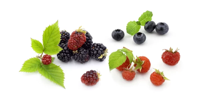 6 Best Juicers For Berries Reviewed