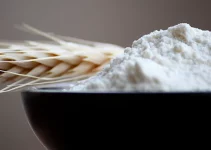 6 Best Blenders for Making Flour
