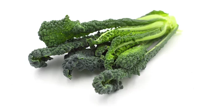 5 Best Juicers for Kale