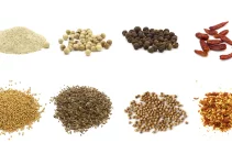 7 Best Blenders for Grinding Spices