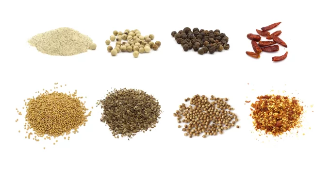 7 Best Blenders for Grinding Spices
