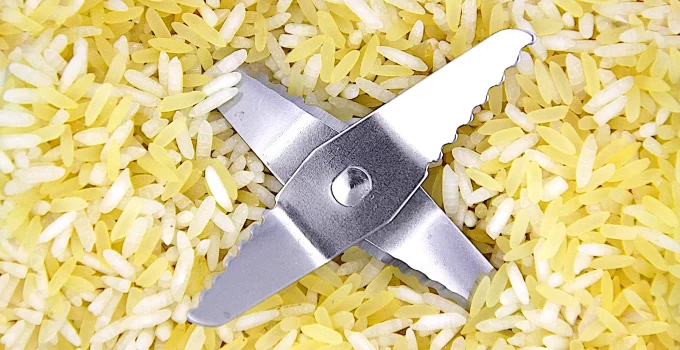 7 Best Blenders for Grinding Rice Reviews